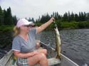 Muskellunge in Maine