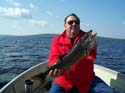 North Maine Woods Trout
