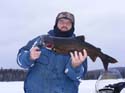 North Maine Woods Ic#3FC483