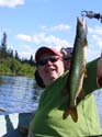 North Maine Woods Fishing