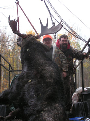 ME-Moose