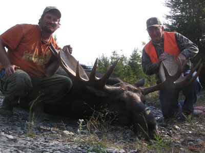maineguide-moose