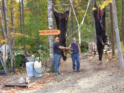mainemoose_02