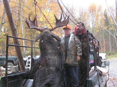 moose-game
