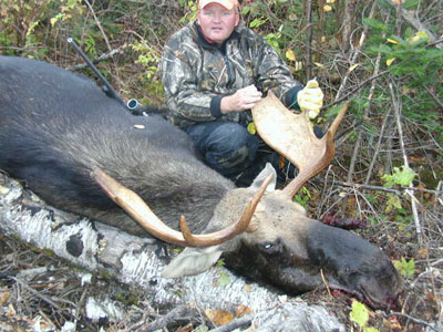 moose