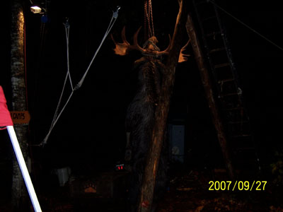 moosehunting_10