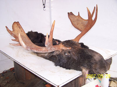 moosehunting_12