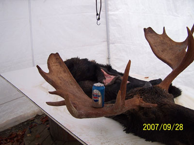 moosehunting_13
