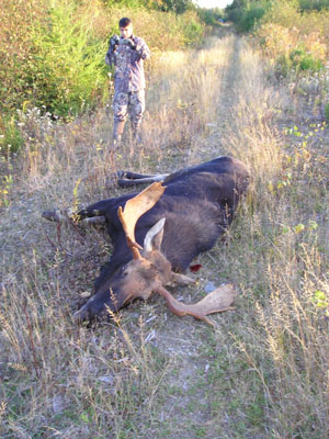 moosehunting_19