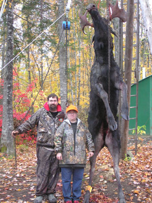 rosslake-moose