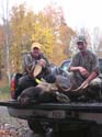 moose-permit