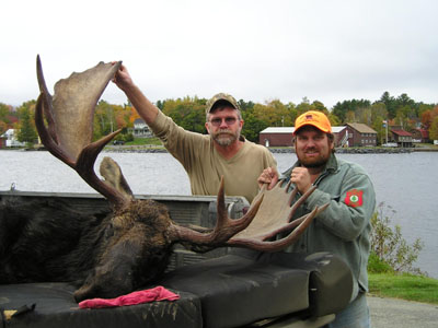 bowhuntedmoose