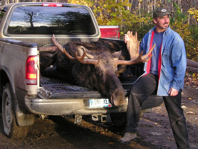 guidedmainemoosehunting