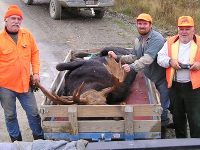 moosehunts
