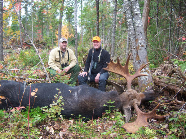 Moose