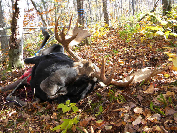 North