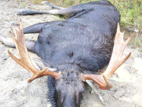 Trophy