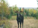 North Maine Woods Mo#1A889B