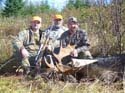 Northern Maine Moose Hunts