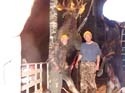 Trophy Bull Moose
