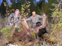 Trophy Maine Moose Hunts