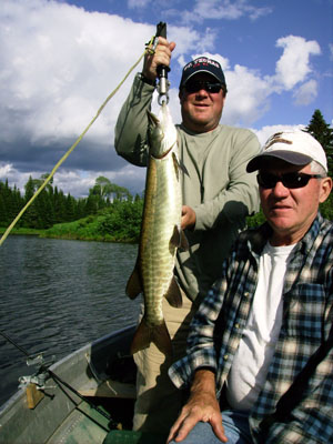 muskie