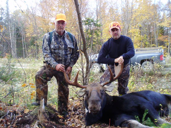 Moose