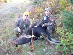 Cow Moose Hunts