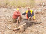 Maine Guided Trophy #3FC495