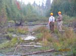 Trophy Bull Moose Hunting