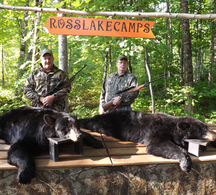 bear hunt