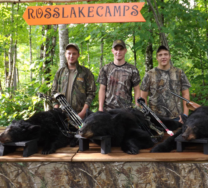 shooting a bear over bait