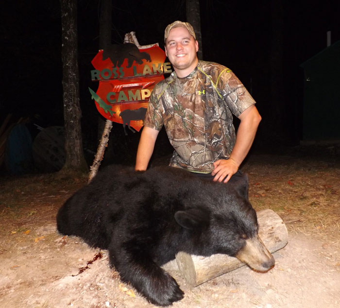 bear in Maine woods