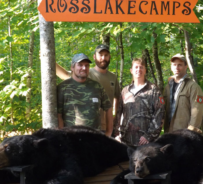 how do I hunt for bear in Maine