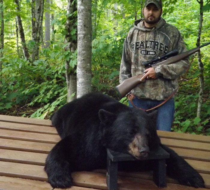 hunting report maine bear