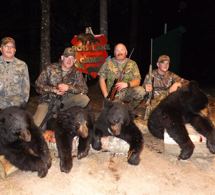Maine bears