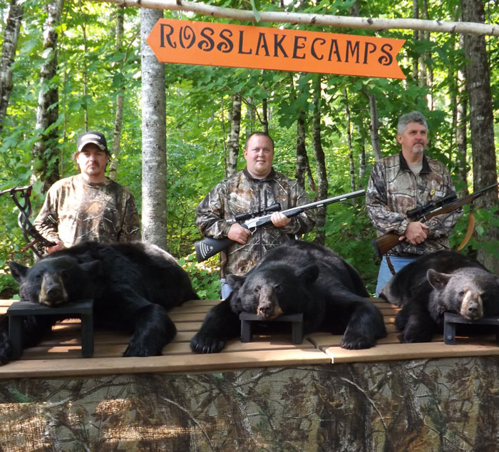 black bear hunting guide
