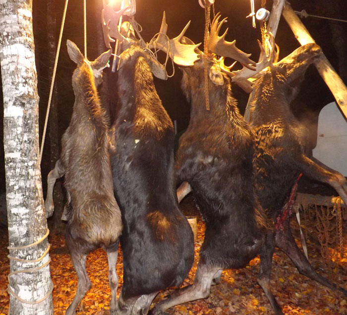 Ross Lake Camps Maine Moose Hunting